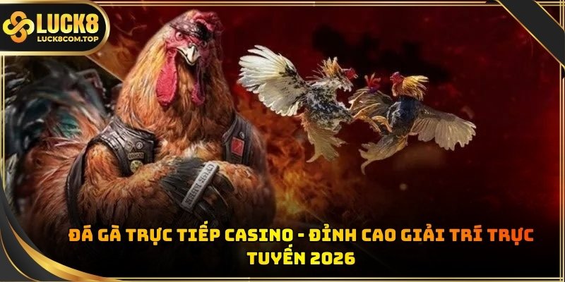 Đá gà trực tiếp casino